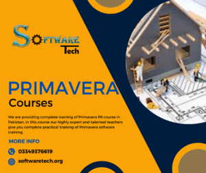 Primavera P6 Training: Mastering Project Management with Primavera P6